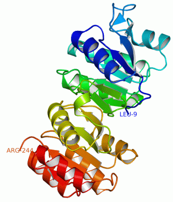 Image Asym./Biol. Unit - manually