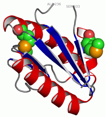 Image Asym./Biol. Unit - manually