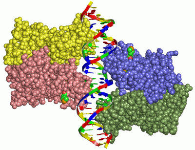 Image Asym./Biol. Unit - manually