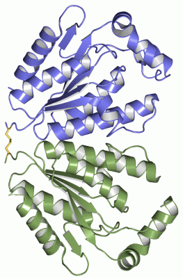 Image Asym./Biol. Unit - manually