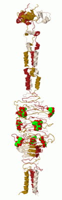 Image Biol.Unit 1 - manually