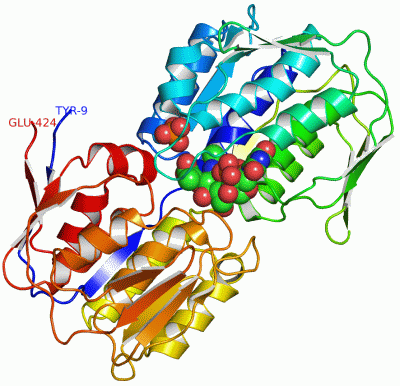 Image Asym./Biol. Unit - manually