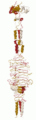 Image Biol.Unit 1 - manually