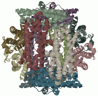 Image Biol.Unit 1 - manually