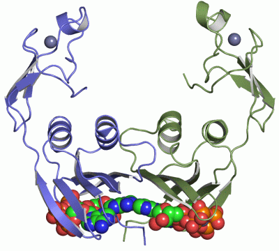 Image Asym./Biol. Unit - manually