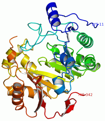 Image Asym./Biol. Unit - manually