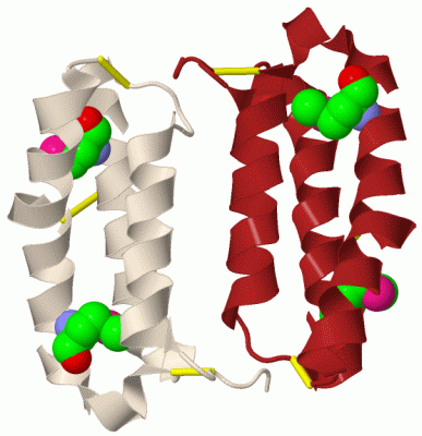 Image Biol.Unit 1 - manually