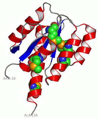 Image Asym./Biol. Unit - manually