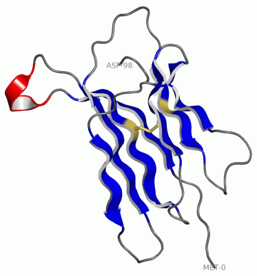 Image Asym./Biol. Unit - manually