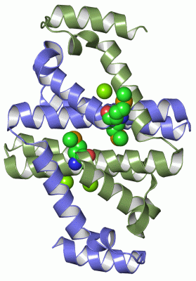 Image Asym./Biol. Unit - manually