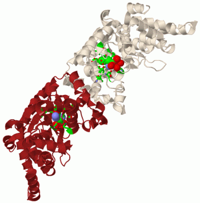 Image Biol.Unit 1 - manually