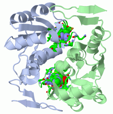 Image Asym./Biol. Unit - manually