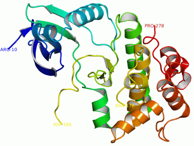 Image Asym./Biol. Unit - manually