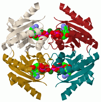 Image Biol.Unit 1 - manually