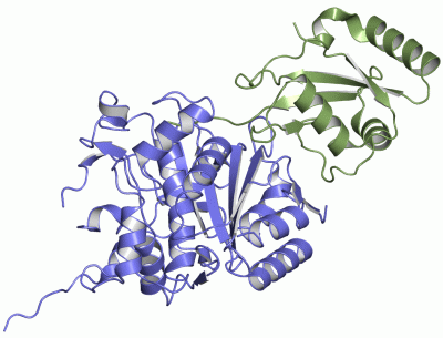 Image Asym./Biol. Unit - manually