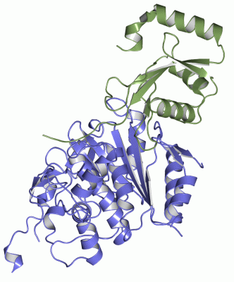 Image Asym./Biol. Unit - manually