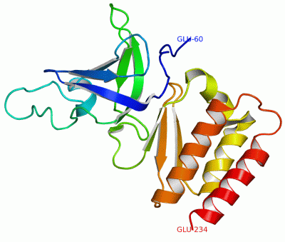 Image Asym./Biol. Unit - manually