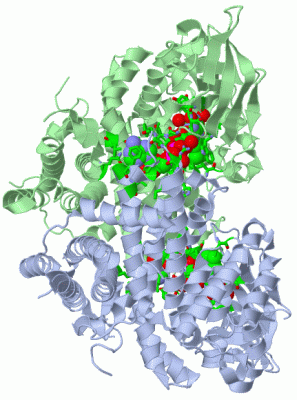 Image Asym./Biol. Unit - manually