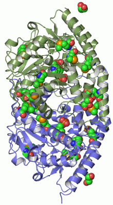 Image Asym./Biol. Unit - manually