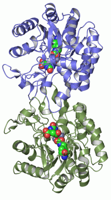 Image Asym./Biol. Unit - manually