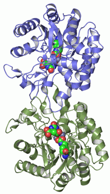 Image Asym./Biol. Unit - manually