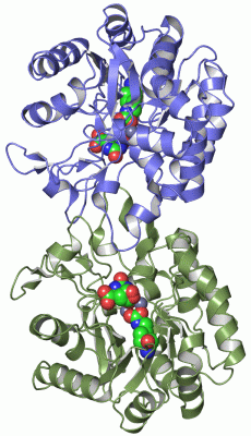 Image Asym./Biol. Unit - manually