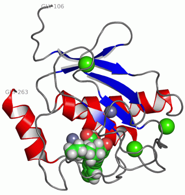 Image NMR Structure - manually