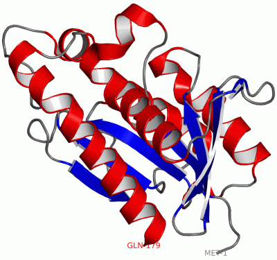 Image Asym./Biol. Unit - manually