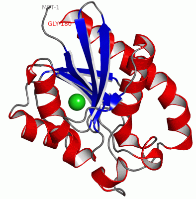 Image Asym./Biol. Unit - manually