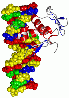 Image Biol.Unit 1 - manually