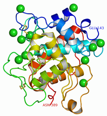 Image Asym./Biol. Unit - manually