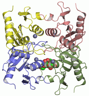 Image Asym./Biol. Unit - manually