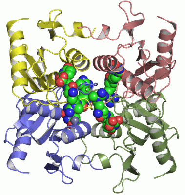 Image Asym./Biol. Unit - manually