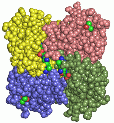 Image Asym./Biol. Unit - manually