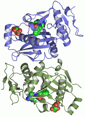 Image Asym./Biol. Unit - manually