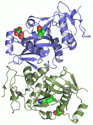 Image Asym./Biol. Unit - manually