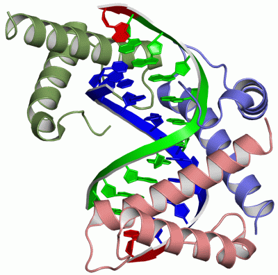 Image Asym./Biol. Unit - manually