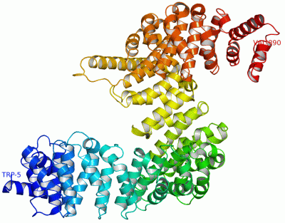 Image Asym./Biol. Unit - manually