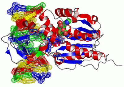 Image Asym./Biol. Unit - manually