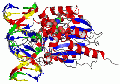 Image Asym./Biol. Unit - manually