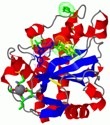 Image Asym./Biol. Unit - manually