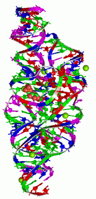 Image Asym./Biol. Unit - manually