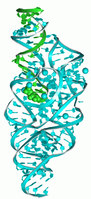 Image Asym./Biol. Unit - manually