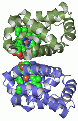 Image Asym./Biol. Unit - manually