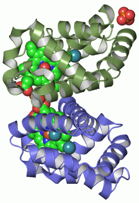 Image Asym./Biol. Unit - manually