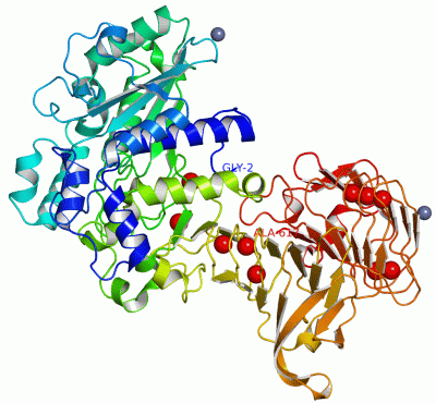 Image Asym./Biol. Unit - manually