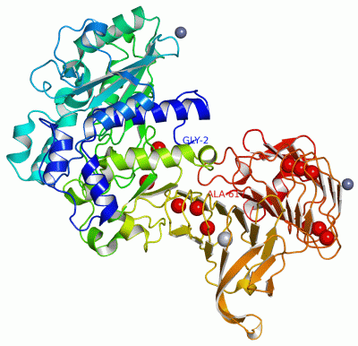 Image Asym./Biol. Unit - manually