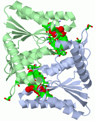 Image Asym./Biol. Unit - manually