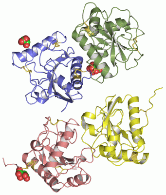 Image Asym./Biol. Unit - manually