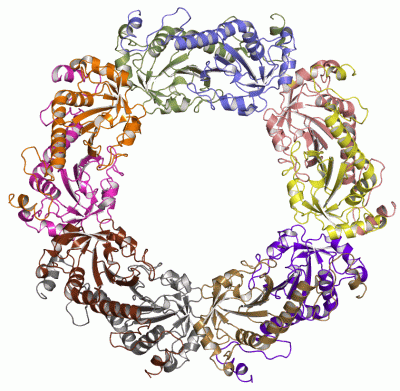 Image Asym./Biol. Unit - manually